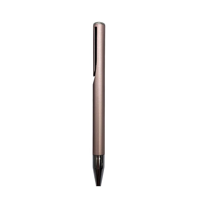 Plastic Ballpen (BM)